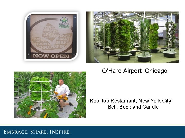 O’Hare Airport, Chicago Roof top Restaurant, New York City Bell, Book and Candle 