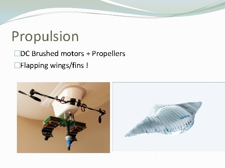 Propulsion �DC Brushed motors + Propellers �Flapping wings/fins ! 