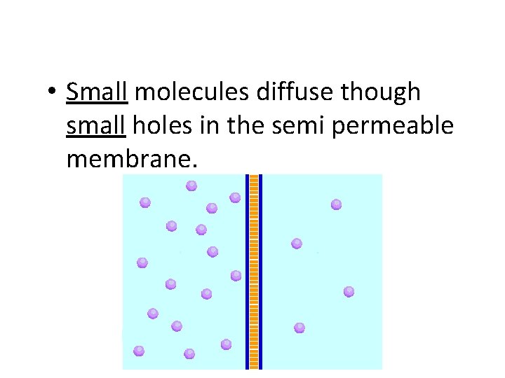  • Small molecules diffuse though small holes in the semi permeable membrane. 