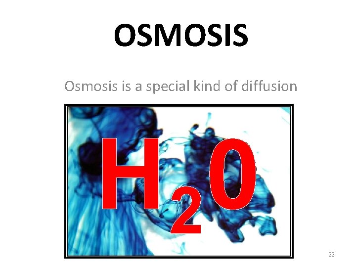 OSMOSIS Osmosis is a special kind of diffusion H 20 22 