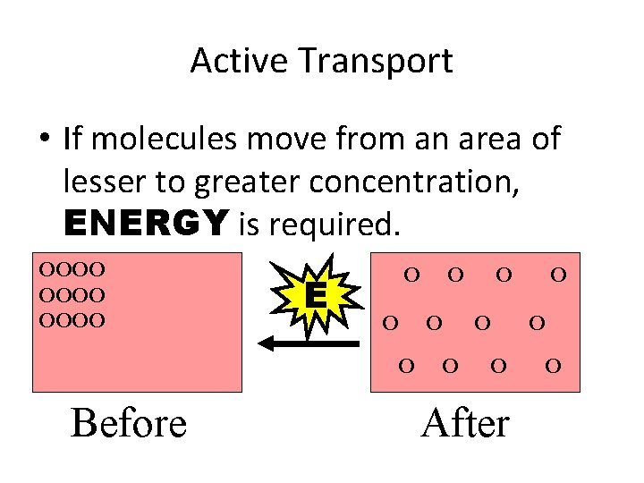 Active Transport • If molecules move from an area of lesser to greater concentration,
