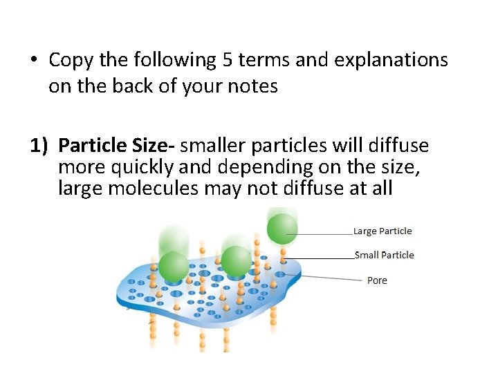  • Copy the following 5 terms and explanations on the back of your