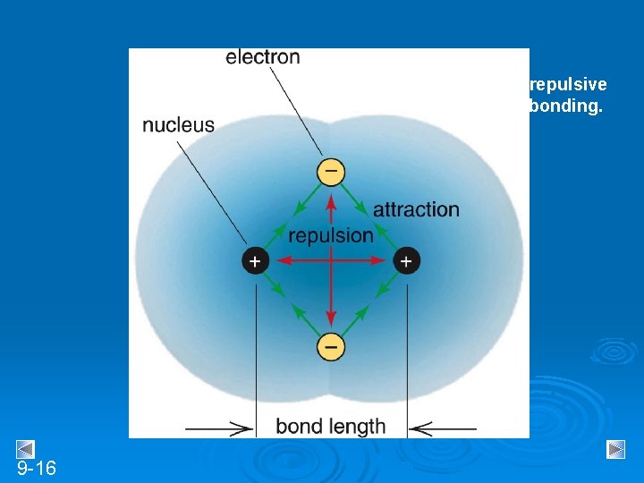 The attractive and repulsive forces in covalent bonding. 9 -16 