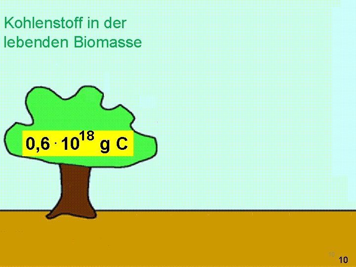 Kohlenstoff in der lebenden Biomasse 18. 0, 6 10 g C 10 10 