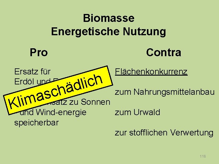 Biomasse Energetische Nutzung Pro Contra Ersatz für Erdöl und Erdgas h c i l