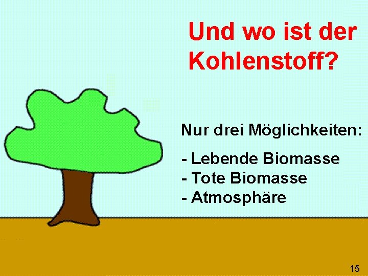 Und wo ist der Kohlenstoff? Nur drei Möglichkeiten: - Lebende Biomasse - Tote Biomasse