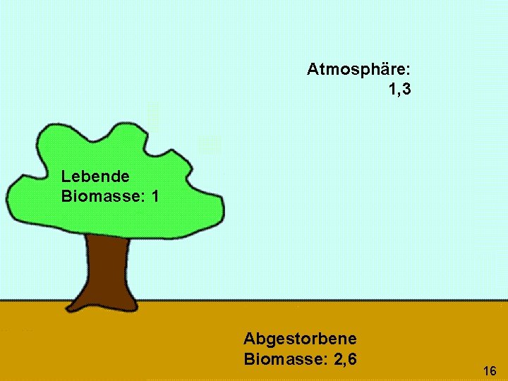 Atmosphäre: 1, 3 Lebende Biomasse: 1 Abgestorbene Biomasse: 2, 6 16 