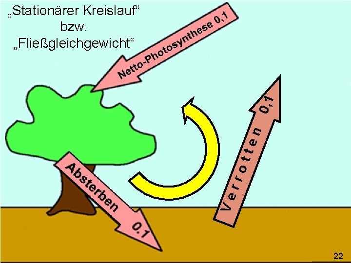 Ve rro tte n 0, 1 „Stationärer Kreislauf“ bzw. „Fließgleichgewicht“ 22 