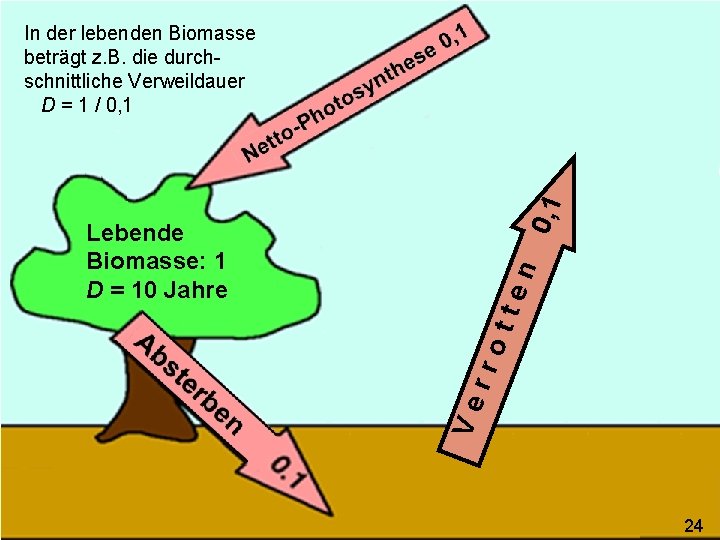 n tte rro Ve Lebende Biomasse: 1 D = 10 Jahre 0, 1 In
