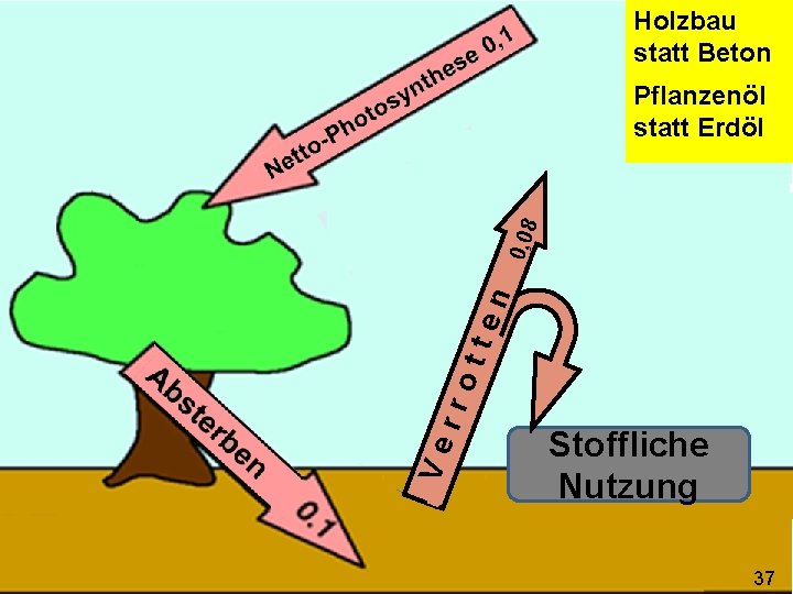 Holzbau statt Beton Ve rro tte n 00, , 008 8 Pflanzenöl statt Erdöl