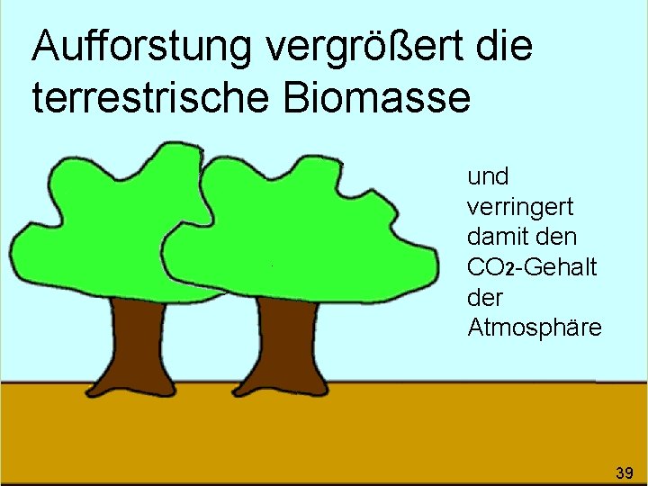 Aufforstung vergrößert die terrestrische Biomasse und verringert damit den CO 2 -Gehalt der Atmosphäre