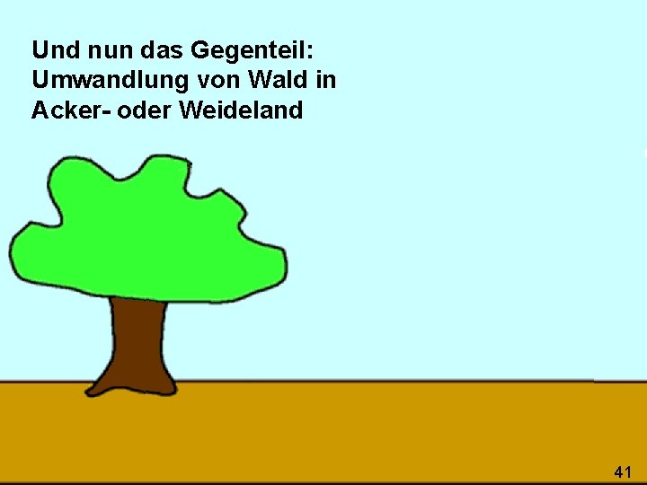 Und nun das Gegenteil: Umwandlung von Wald in Acker- oder Weideland 41 