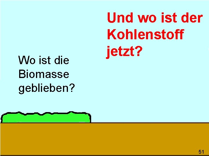 Wo ist die Biomasse geblieben? Und wo ist der Kohlenstoff jetzt? 51 