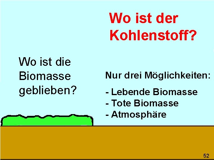 Wo ist der Kohlenstoff? Wo ist die Biomasse geblieben? Nur drei Möglichkeiten: - Lebende