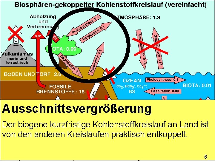 Ausschnittsvergrößerung Der biogene kurzfristige Kohlenstoffkreislauf an Land ist von den anderen Kreisläufen praktisch entkoppelt.