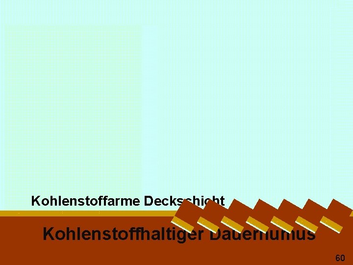 Kohlenstoffarme Deckschicht Kohlenstoffhaltiger Dauerhumus 60 