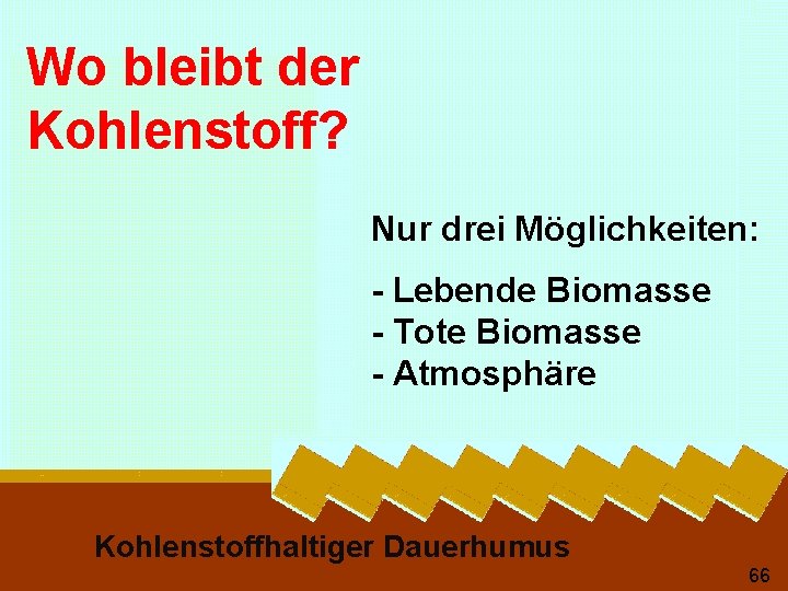 Wo bleibt der Kohlenstoff? Nur drei Möglichkeiten: - Lebende Biomasse - Tote Biomasse -