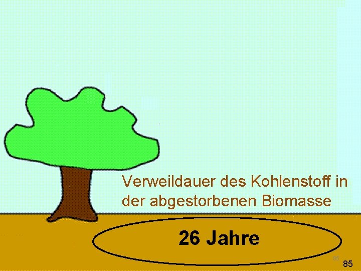 Verweildauer des Kohlenstoff in der abgestorbenen Biomasse 26 Jahre 85 85 