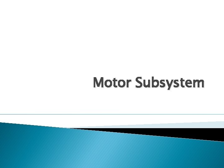 Motor Subsystem 