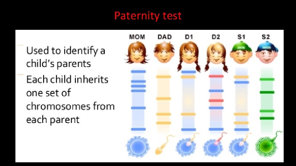 Paternity test  Paternity test