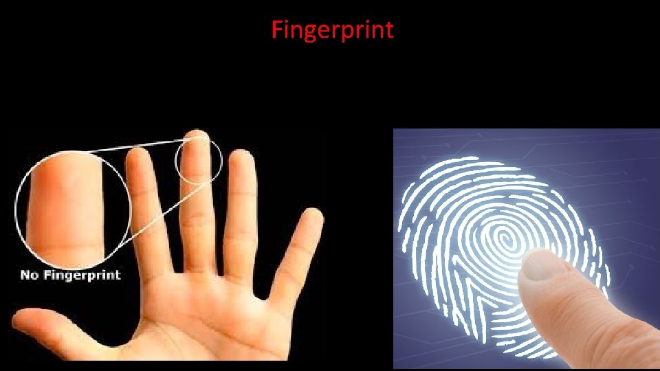 Fingerprint  Fingerprint