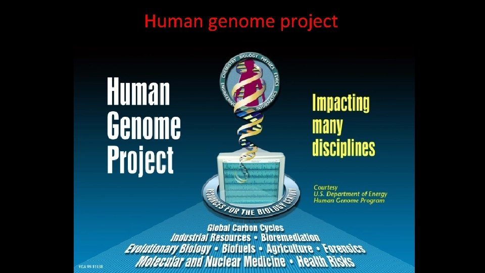 Human genome project  Human genome project