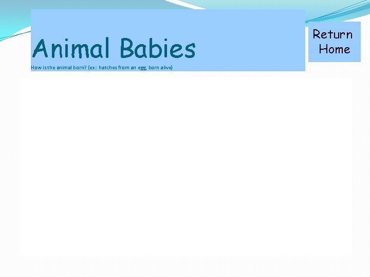 Animal Babies How is the animal born? (ex: hatches from an egg, born alive)