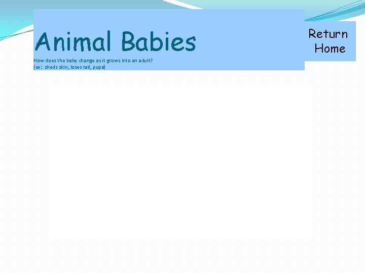 Animal Babies How does the baby change as it grows into an adult? (ex: