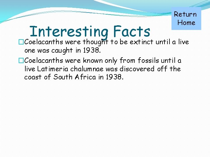 Interesting Facts Return Home �Coelacanths were thought to be extinct until a live one