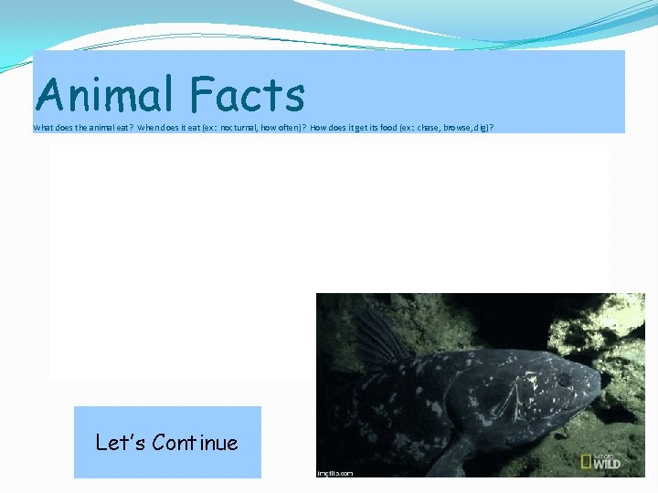 Animal Facts What does the animal eat? When does it eat (ex: nocturnal, how