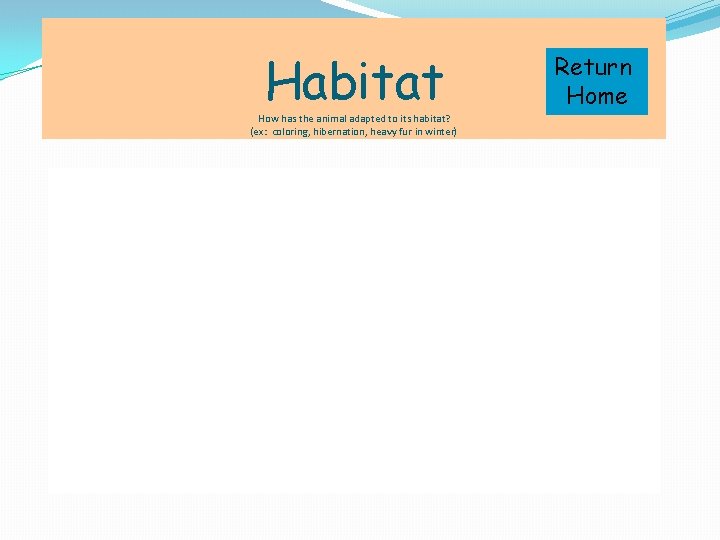 Habitat How has the animal adapted to its habitat? (ex: coloring, hibernation, heavy fur