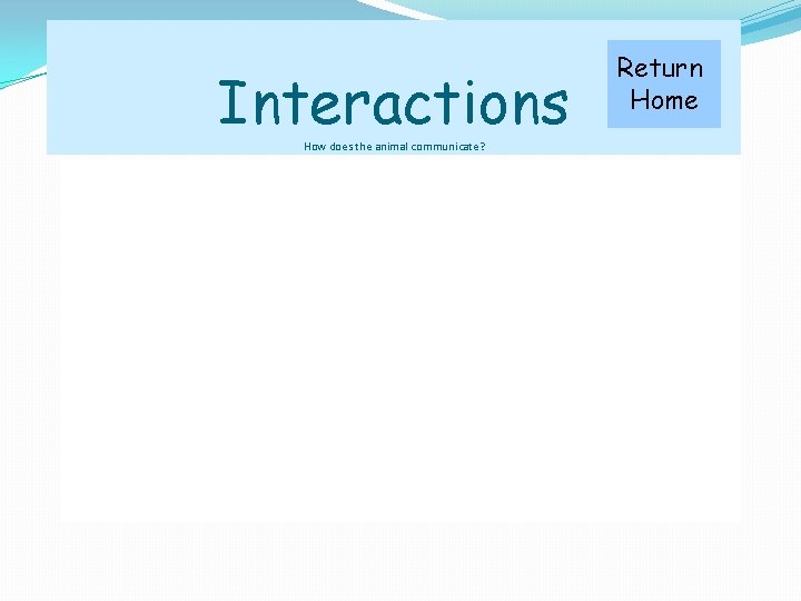 Interactions How does the animal communicate? Return Home 