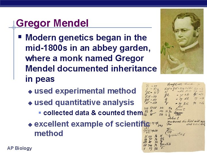 Gregor Mendel § Modern genetics began in the mid-1800 s in an abbey garden,