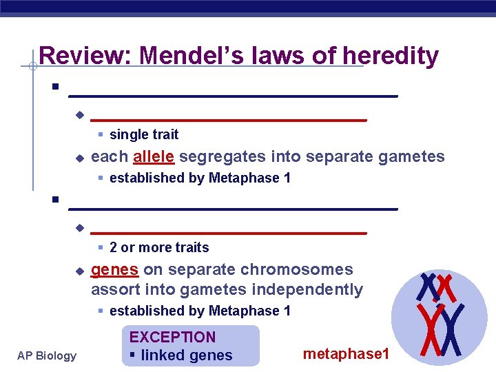 Review: Mendel’s laws of heredity § _________________ u _______________ § single trait u each