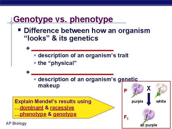 Genotype vs. phenotype § Difference between how an organism “looks” & its genetics u