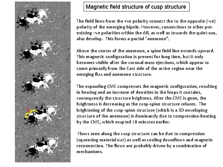 Magnetic field structure of cusp structure The field lines from the +ve polarity connect