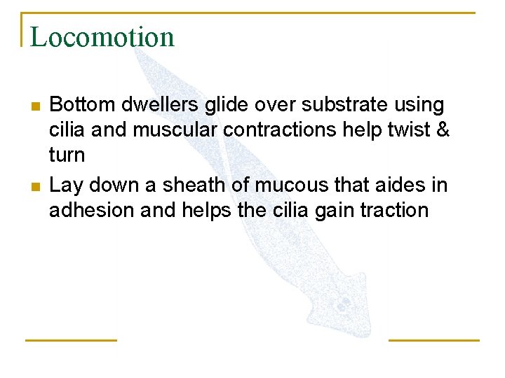 Locomotion n n Bottom dwellers glide over substrate using cilia and muscular contractions help