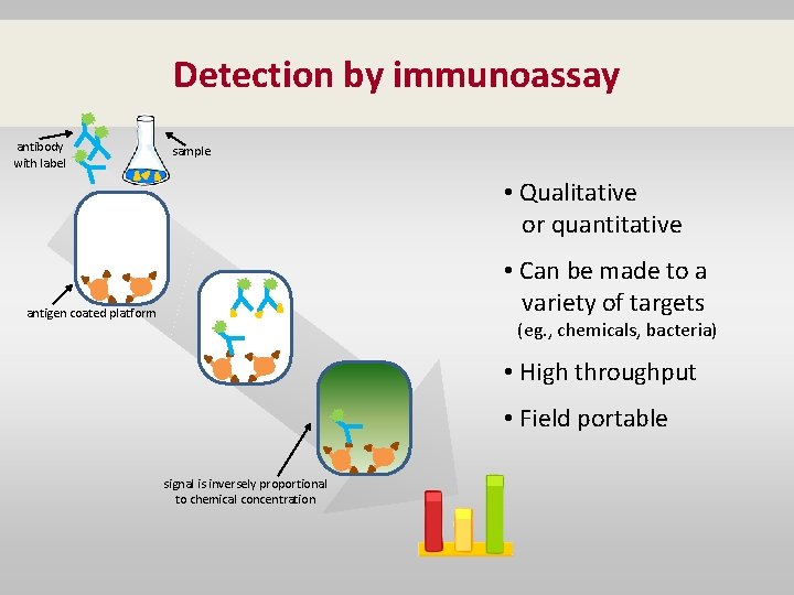 Detection by immunoassay antibody with label sample • Qualitative or quantitative • Can be