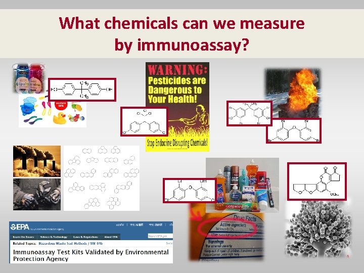 What chemicals can we measure by immunoassay? 