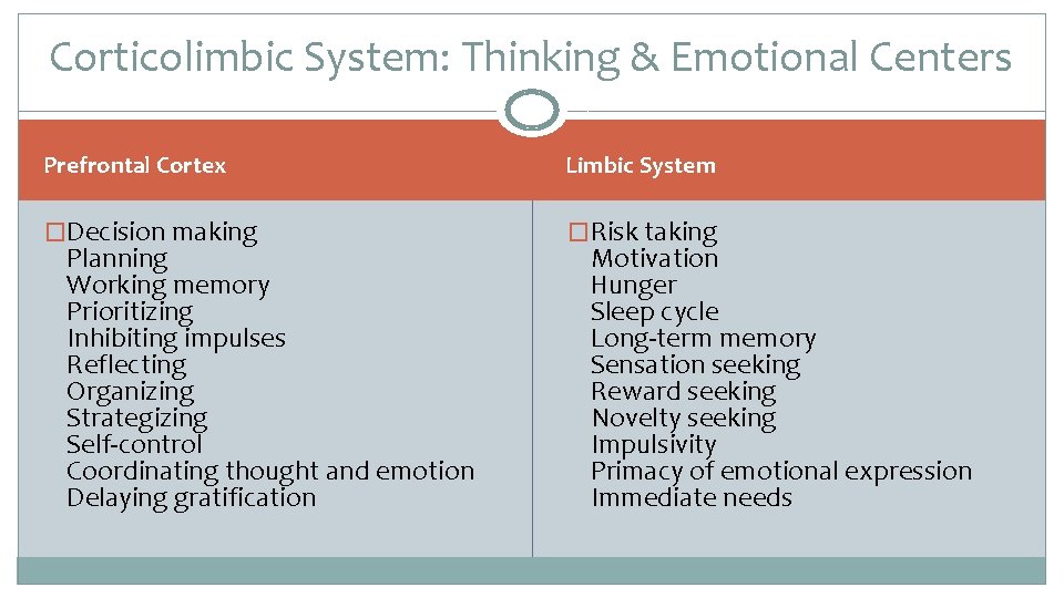 Corticolimbic System: Thinking & Emotional Centers Prefrontal Cortex Limbic System �Decision making �Risk taking