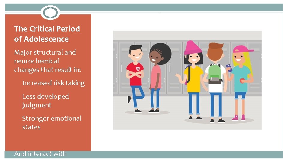 The Critical Period of Adolescence Major structural and neurochemical changes that result in: Ø