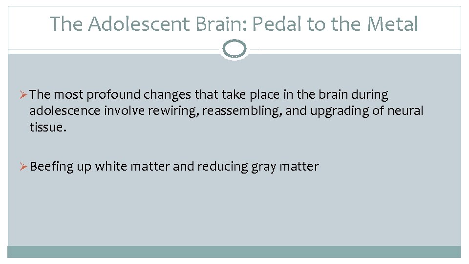 The Adolescent Brain: Pedal to the Metal Ø The most profound changes that take
