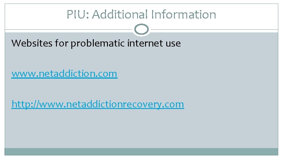 PIU: Additional Information Websites for problematic internet use www. netaddiction. com http: //www. netaddictionrecovery.