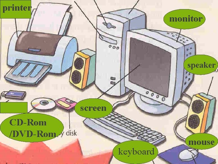 printer monitor speaker screen CD-Rom /DVD-Rom keyboard mouse 