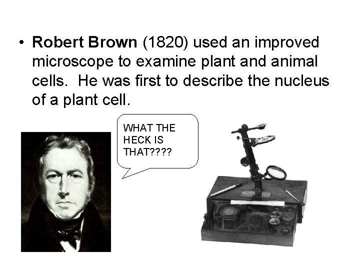 • Robert Brown (1820) used an improved microscope to examine plant and animal • Robert Brown (1820) used an improved microscope to examine plant and animal
