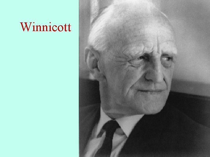 Winnicott 49 