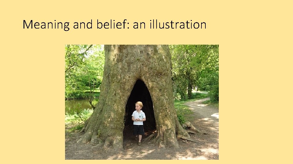 Meaning and belief: an illustration 