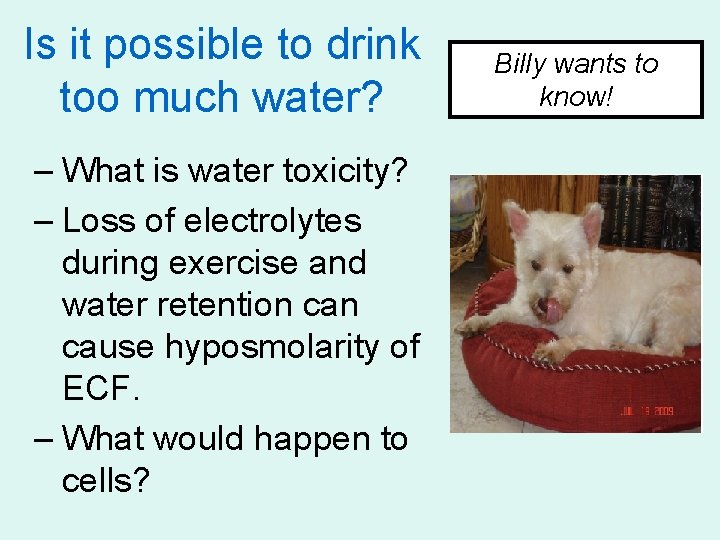 Is it possible to drink too much water? – What is water toxicity? –