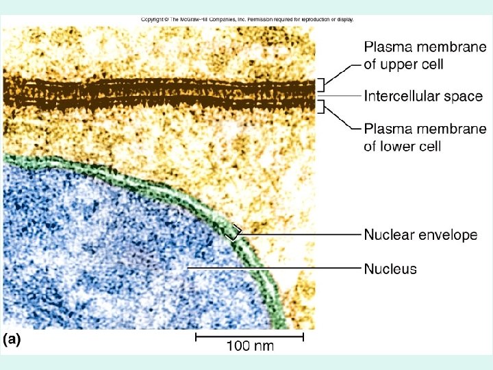 Figure 3. 6 a 