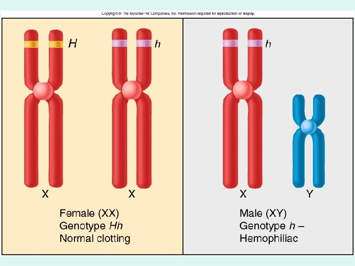 Figure 4. 20 
